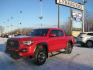 2020 red /black Toyota Tacoma TRD- Off Road Double Cab V6 6AT 4WD (3TMCZ5ANXLM) with an 3.5L V6 DOHC 24V engine, 6A transmission, located at 9530 Old Seward Highway, Anchorage, AK, 99515, (907) 349-3343, 61.134140, -149.865570 - Nice Toyota Tacoma TRD- Off Road, sunroof, leather, come take a test drive - Photo#0